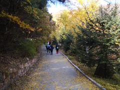-遵化市禅林寺古银杏风景园