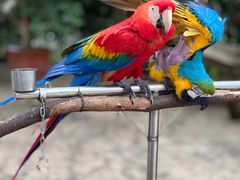 -云南野生动物园