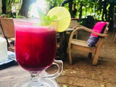 红菜头凤梨冰沙-Fern Forest Cafe