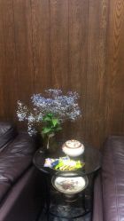 -缘溪堂·Spa&Skin