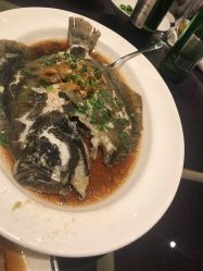 -沈阳君悦酒店宴会厅