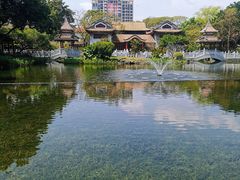 -顺峰山公园