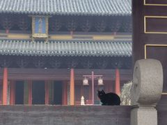 -苏州文庙(姑苏区)