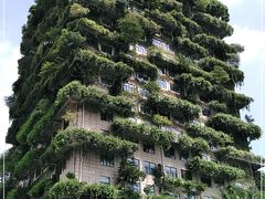 -碧桂园总部(碧江大桥店)