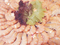 android_upload_pic-长峰假日酒店·佛罗伦萨西餐厅