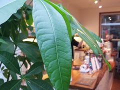 -Line 咖啡(石厦花园店)