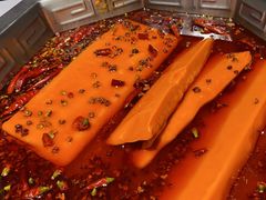 -蜀九香火锅(九眼桥店)