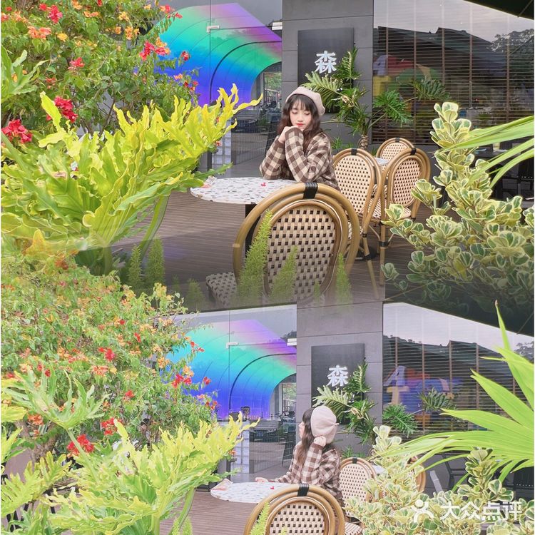 东莞宠物友好店|带着狗狗在森林里下午茶