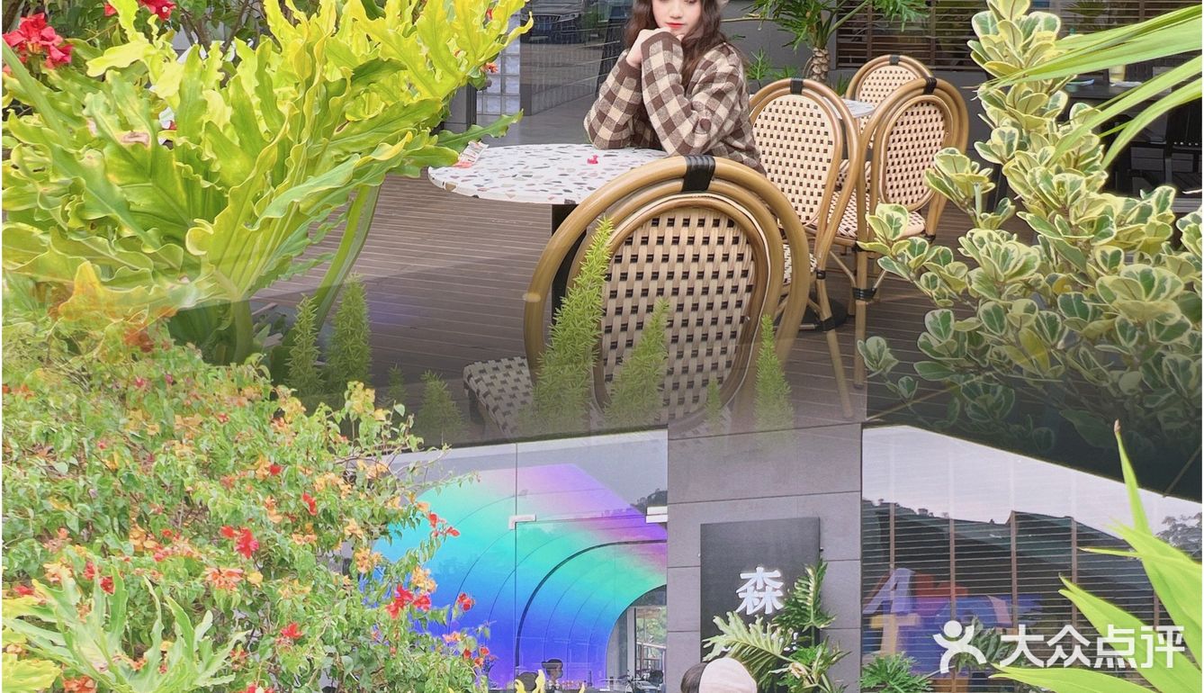 东莞宠物友好店|带着狗狗在森林里下午茶