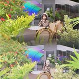 东莞宠物友好店|带着狗狗在森林里下午茶