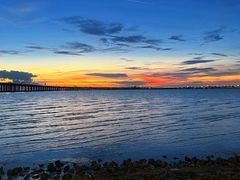 -宝安西湾红树林湿地公园