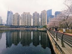 -西北湖绿化广场