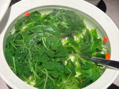 -醉庐·新上海菜(南京西路店)