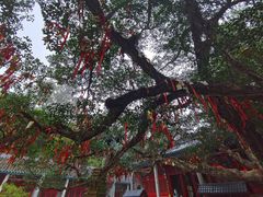 -国恩寺