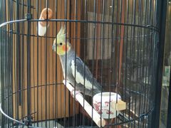 -阜昌典当行(阜成门店)