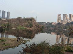 -重庆彩云湖湿地公园