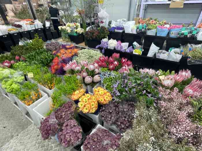 王四营鲜花批发(花花市界店)-"姐妹们,王四营花卉市场搬家了,搬到市场