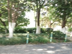 -常州古运河南大街文化旅游区-人民公园