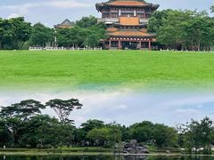 -顺峰山公园