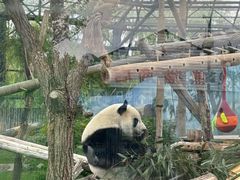 -鄂尔多斯野生动物园