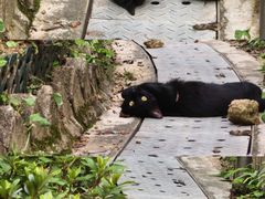 -九龙公园