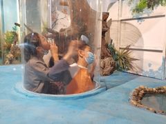 -灵玲国际马戏城