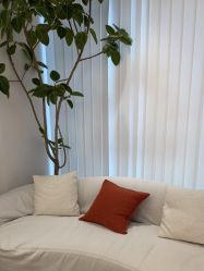 点击看大图 -WENDY·温迪皮肤管理