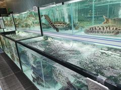 -胖东来生活广场(健康路店)