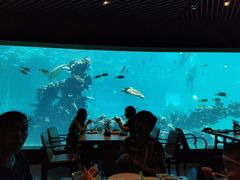 -海棠湾洲际-涛·海底餐厅·美人鱼·自助餐·海底隧道