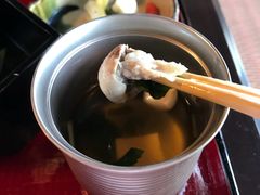 -料亭菊水楼