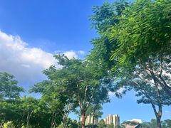 -白石龙音乐公园