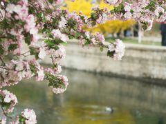 -元大都城垣遗址公园