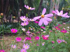 景点-人民公园(罗湖区)