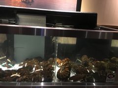 -RED LOBSTER(多伦多DT店)