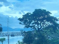 -希尔顿南海酒店·观廊大堂吧·海景下午茶