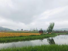 -径山花海