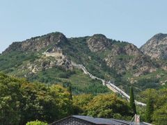 -四条包子(古城街店)
