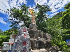 -大岭沟猕猴桃谷风景区