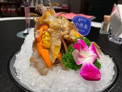 -海月轩海鲜豆捞(紫金塔店)