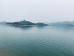 -望湖烤鱼