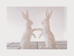 iphone_upload_pic-铃木食堂(帽儿胡同店)