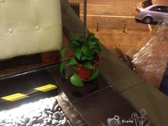 景观位-仙踪林(江燕路万科里店)