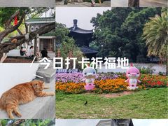 -荔湾湖公园