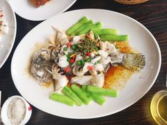 鲜花椒蒸桂花鲈-猪肉婆私房菜(容桂总店)