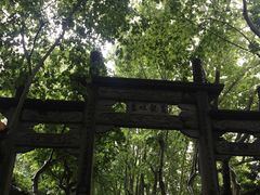 -杭州黄龙洞