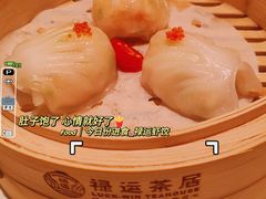 -金牌禄运·点心·啫煲(百信广场店)