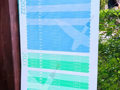 -福田红树林生态公园