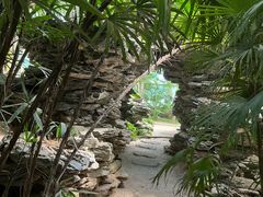 -石家庄市植物园