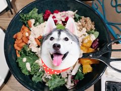 芥子酱羽翼甘蓝沙拉-小大董·烤鸭(凤凰汇店)