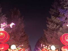 -长春市南湖公园